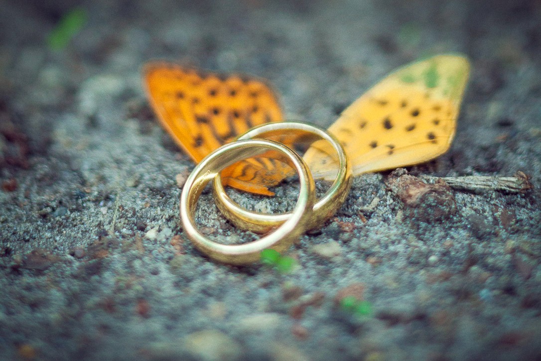 Beeindruckene Hochzeitsfotografie der Eheringe - Schmetterling